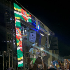 WE NOT GOING HOME| SUMMER 2025 BOUYON MIX | Riddim Empress