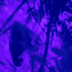 [FREE] Boards Of Canada Type Beat - fAdEd [prod. drömmare]