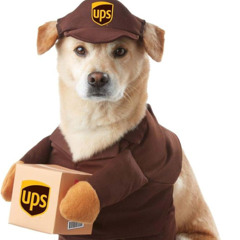 T'AS APPELÉ TA MÈRE ??? Mercredi du  BOUM Marseille 26/02/2025