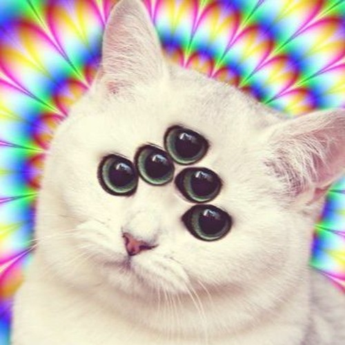 Stream SPACE CAT  Listen to Psy Goa Trance playlist online for free on  SoundCloud