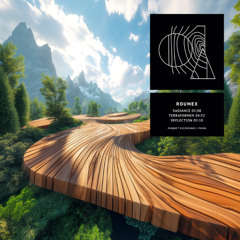 Roumex - Radiance EP (PNG06)