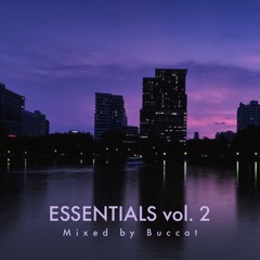 ESSENTIALS vol. 2