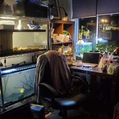 a cent ("One Million Dollars" prod. beatpatch)