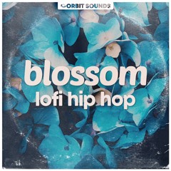 Blossom - lofi hip hop (Demo)