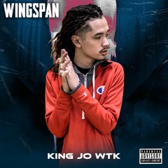 WingSpan