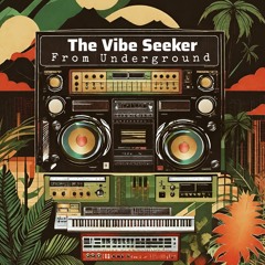 The Vibe Seeker - From Underground