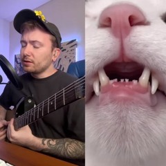 teeth don't match the bite (scrobaby cat meow guitar tiktok/reel duet)