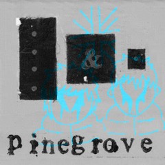 aug f - pinegrove w the bros ft. f.rider ( revi remix )
