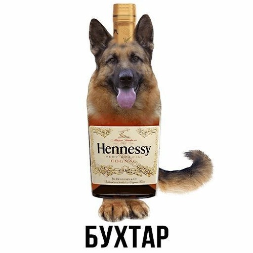 мои друзья уебки / x zzzakat