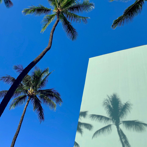 So be it freestyle | made on the Rapchat app (prod. by Rapchat Official)