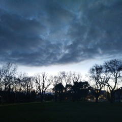 Half A Million Miles From Home by Diane Cluck