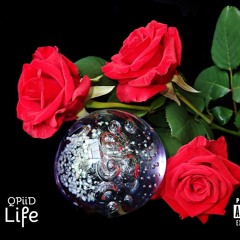 [Preview] QPiiD - Piigybank