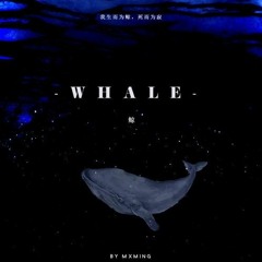 Cá Voi - Chúc Nhất Khả - 鲸 (Whale)- 祝一可