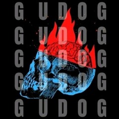 AKADEMIA - DJ GUDOG