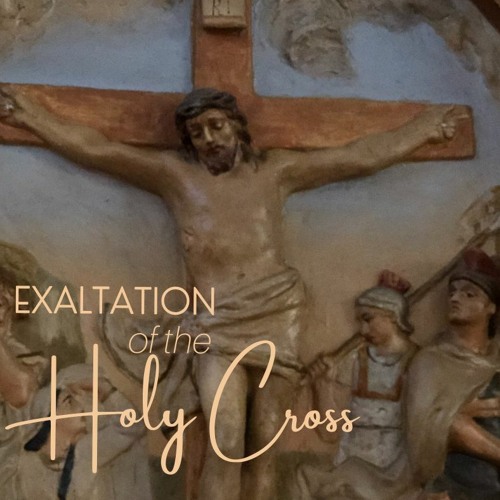 Stream Homily 9 - 14 - 2023 The Exaltation Of The Holy Cross by StAlice ...