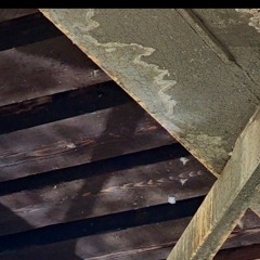 Organ Donor Death Rattle