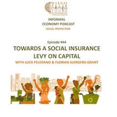 #44 Towards a social insurance levy on capital