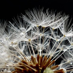 Copy of Michael 2024