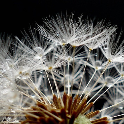 Copy of Michael 2024