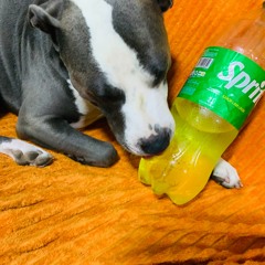 cris_mj_ft_benjitalkapone_ft_tunechikidd_HASTA_LAS_DOCE_