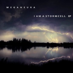 I am a StormCell