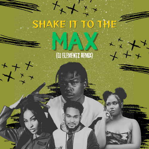SKILLIBENG X MOLIY X SHENSEEA - SHAKE IT TO THE MAX ( DJ ELEMENTZ REMIX )