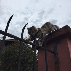 broken dreams. - desolation (instrumental)