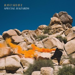 Ravi Shavi - Special Hazards"