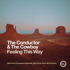 Feeling This Way (Siskin Remix)