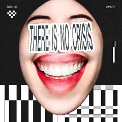 There Is No Crisis