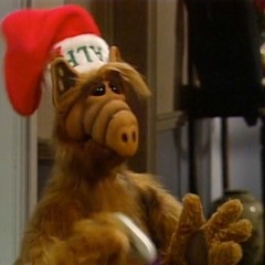 Xmas Safari