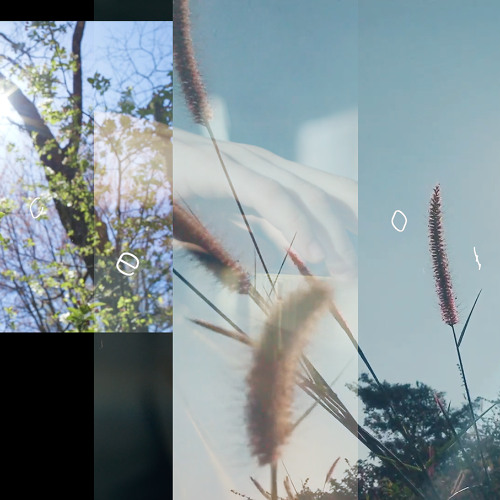 Voice of Fluidity