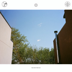 Never Said It Was Good