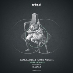 Alexis Cabrera, Ignacio Morales - Zehn (Traumer Remix)