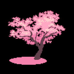 ♪ THE FIELD OF PINK AND GOLD