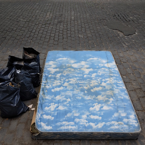 Flaaryr - DEFENSIVE STRIDULATION