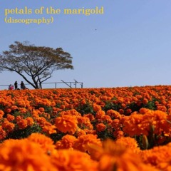 𝐩𝐞𝐭𝐚𝐥𝐬 𝐨𝐟 𝐭𝐡𝐞 𝐦𝐚𝐫𝐢𝐠𝐨𝐥𝐝