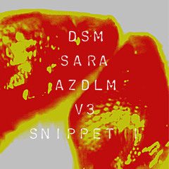 DSM - Sara - AZDLM - V3 - Snippet 1