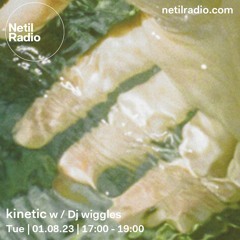 kinetic w / Dj wiggles | netil radio, aug 23
