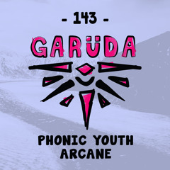 Phonic Youth - Arcane