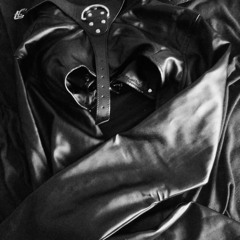 PÚČIK - Píseň zaslechnutá v baru (M. Děžinský)