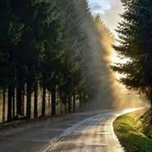 سيري معي طول الطريق -محمود عياد