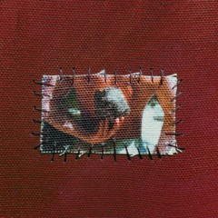 A1 (Live at Glob)