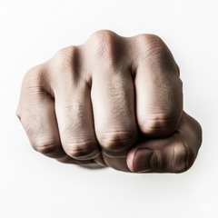 Talk to My Fist