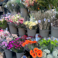 Snoh Aalegra "I Want You Around" Cover by Sade