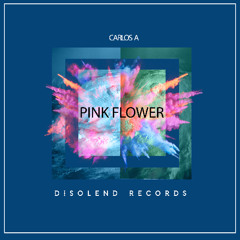 PREMIERE: Pink Flower - Carlos A  (Original Mix) [Disolend]