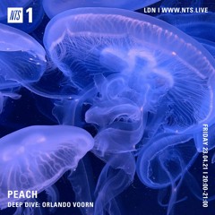 Peach 038 - DEEP DIVE: Orlando Voorn