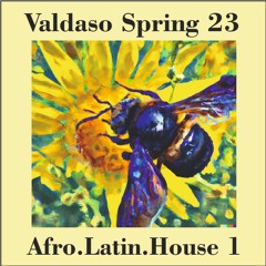 Valdaso Spring  - Afro Latin House 1 - mix BTA