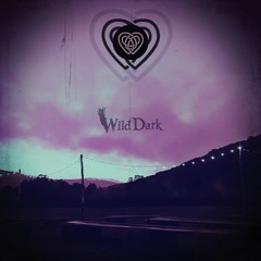 Wild Dark - PYNK 2022