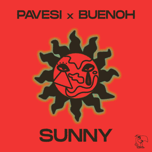 CLASSY PREMIERE: Pavesi x BUENOH - SUNNY [Parrots Records]
